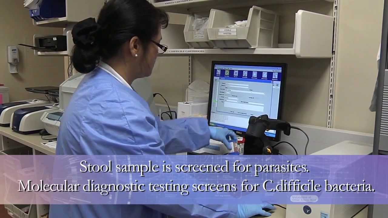 Microbiome Transplantation 1 Microbiome Transplantation