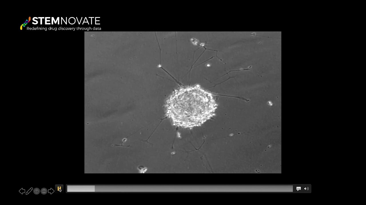 Organoid Tissue Engineering: Growing Mini-Organs That Build Themselves 1 Illustration of an organoid, a lab-grown cluster of stem cells that self-organizes into miniature organ-like tissue.