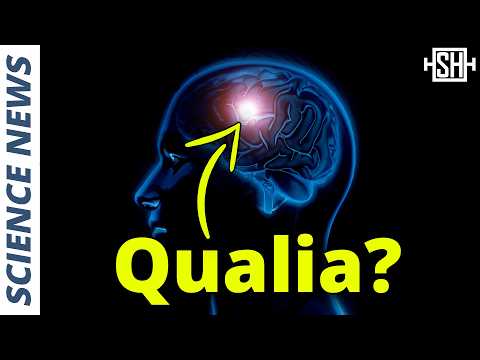 Scientists Measure Qualia for First Time – It was thought to be impossible