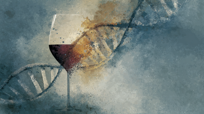 Light Drinking Protects Your Brain? The Data Says Otherwise