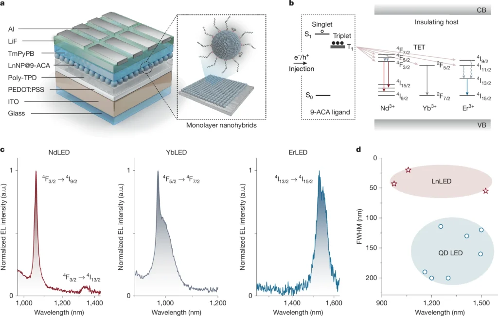 The 'Impossible' LED That Could Change Cancer Surgery 2 Explanation of how the lanthanide LED works to improve cancer surgery.