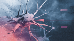 A Brain Cell That Always Knows Which Way You're Facing